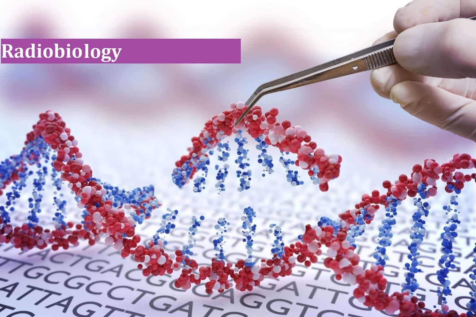 Can-Cancer-Patients-Have-Their-Genomes-Altered-Safely-2-1536